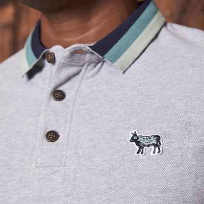 Kingsley Heath Striped Collar Pkcpn Golfer Vervet