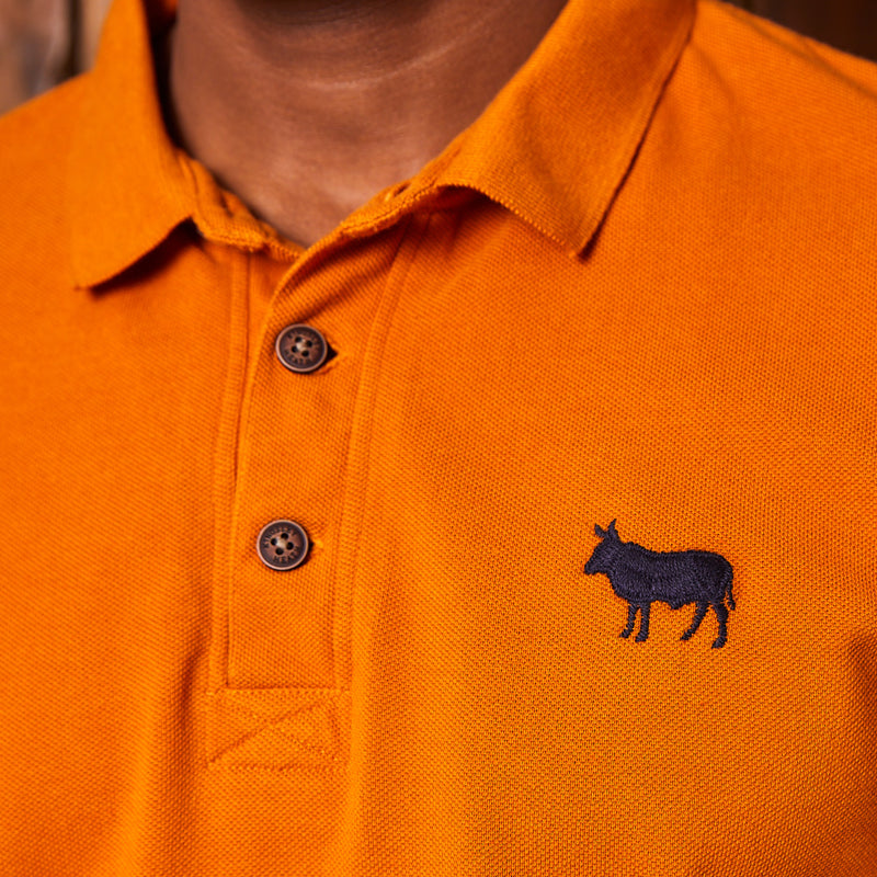Classic Kingsley Heath PK Polo Amber