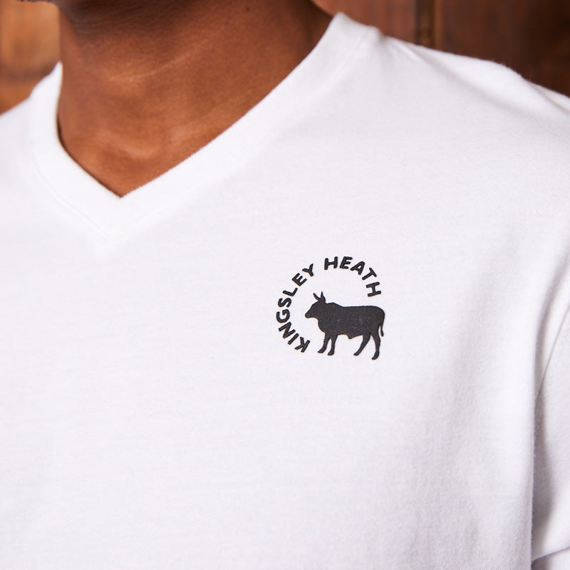 High-Square Crescent Logo V-Neck Tee Pelican