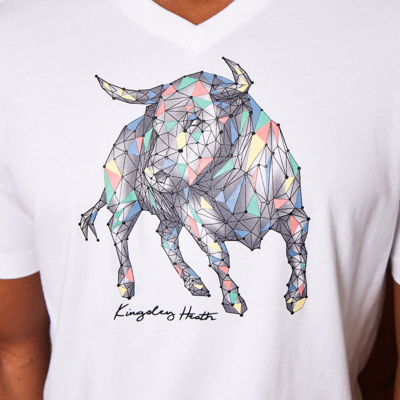 Constellation Bull V-Neck Tee Pelican